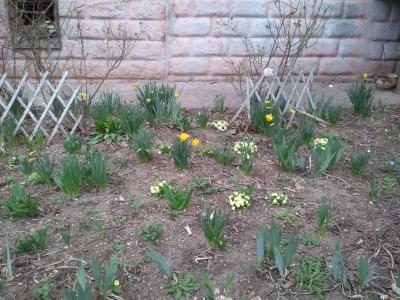 Прикрепленное изображение: f3.jpg